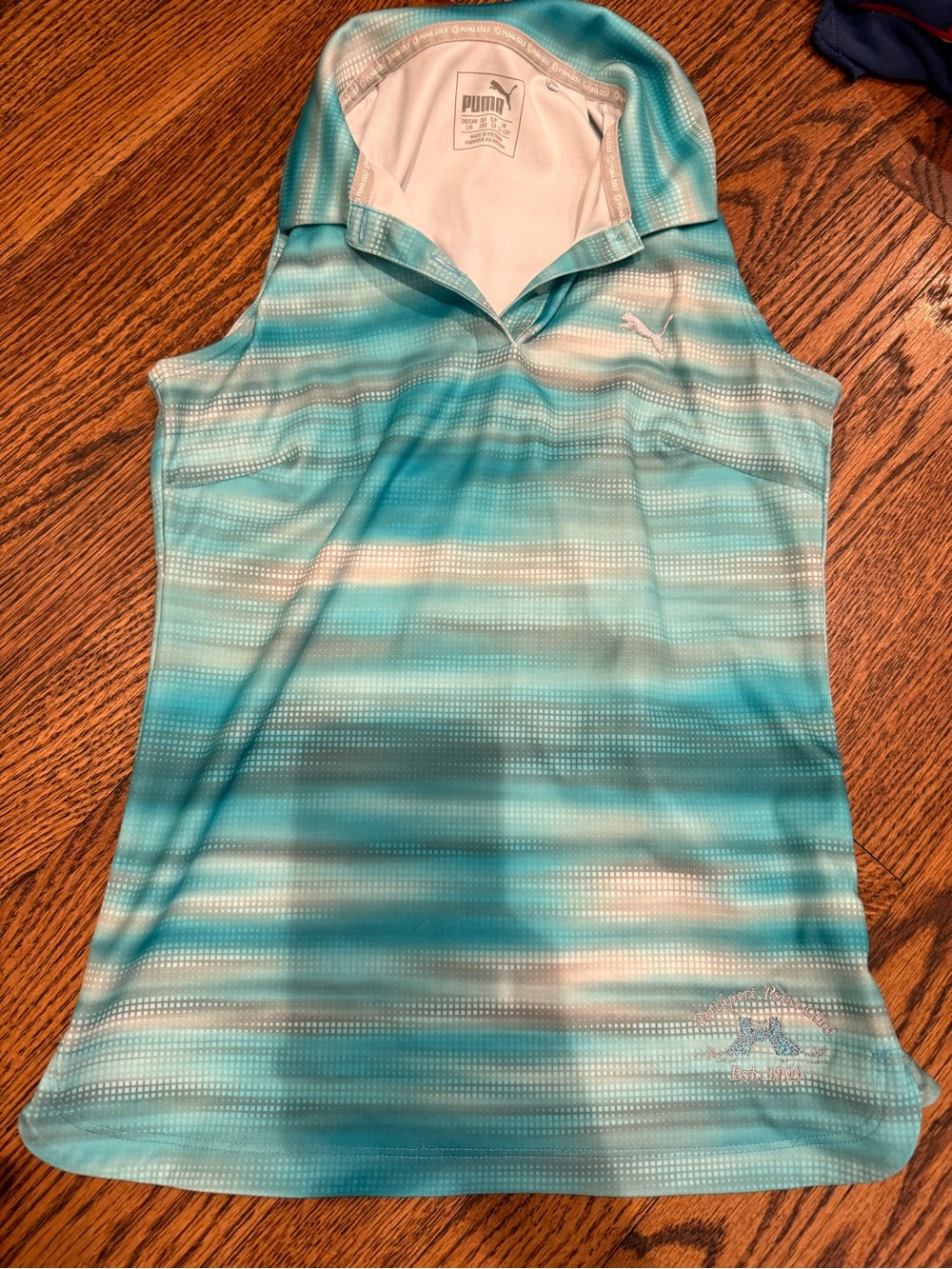 Puma Teal and Aqua Gradient Sleeveless Golf Polo
